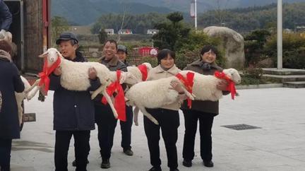 图片 3.png 图片 3.png